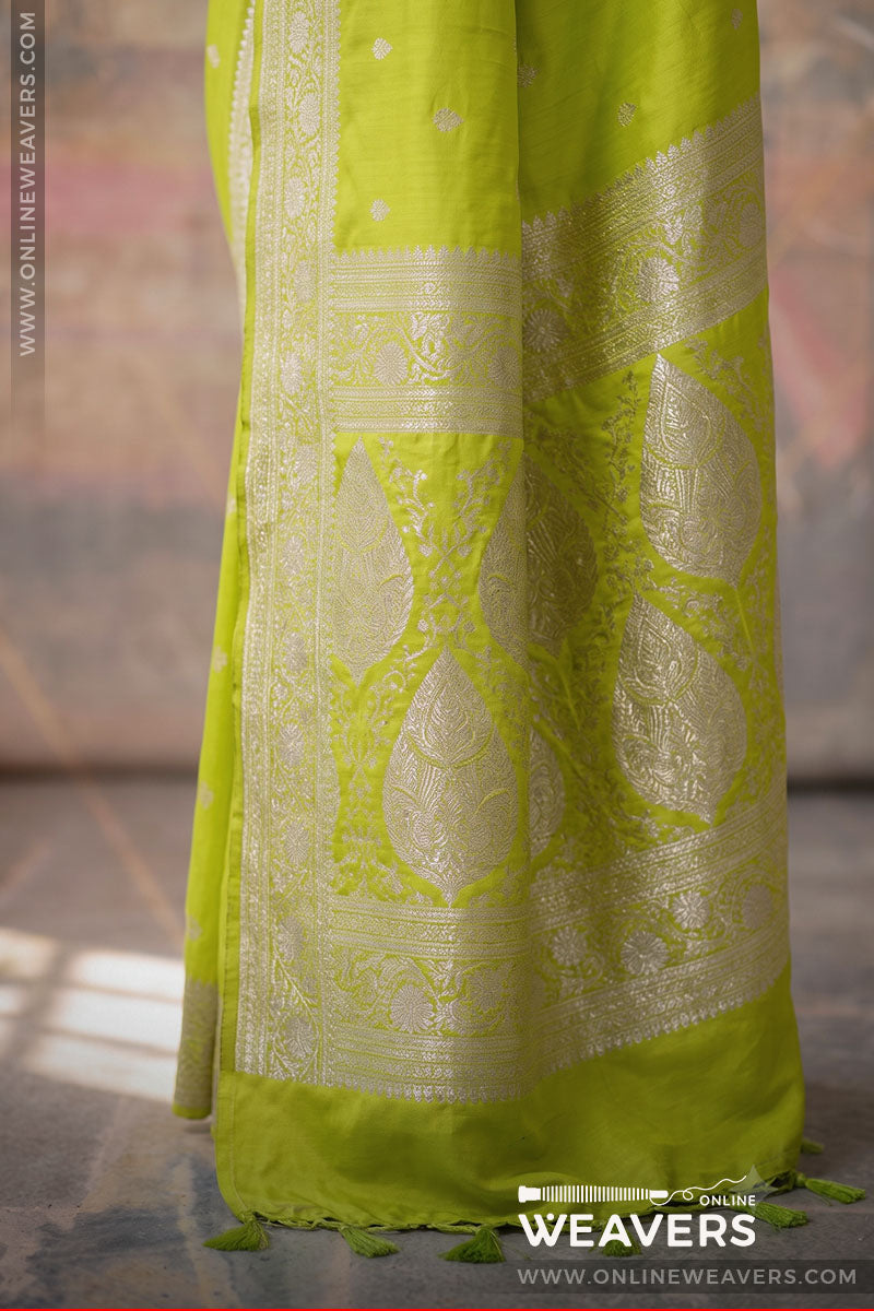 (Pallu): Diya Mirza Saree, Lime Green saree, light green sari, bollywood saree, Banarasi saree