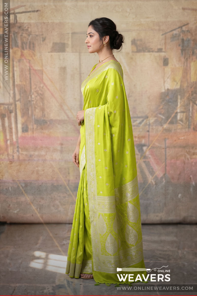 (Side Pose): Diya Mirza Saree, Lime Green saree, light green sari, bollywood saree, Banarasi saree