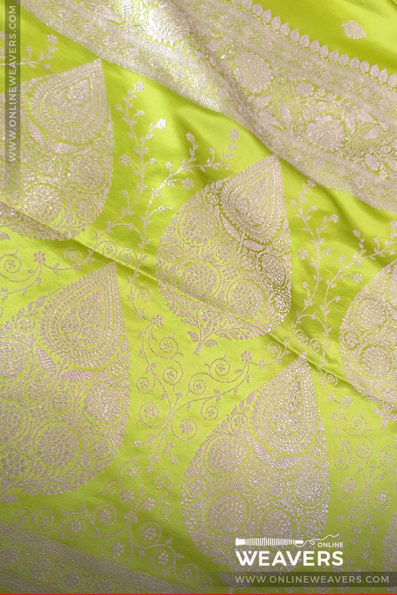 (Closeup): Diya Mirza Saree, Lime Green saree, light green sari, bollywood saree, Banarasi saree